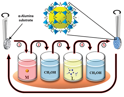 MOF_SC_1