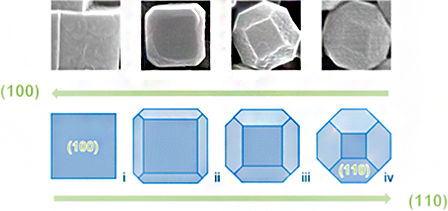 NSS_MOF_2